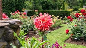 Fuller Gardens