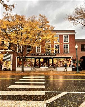 Fall Foliage in Woodstock VT
