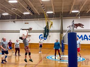 VB players